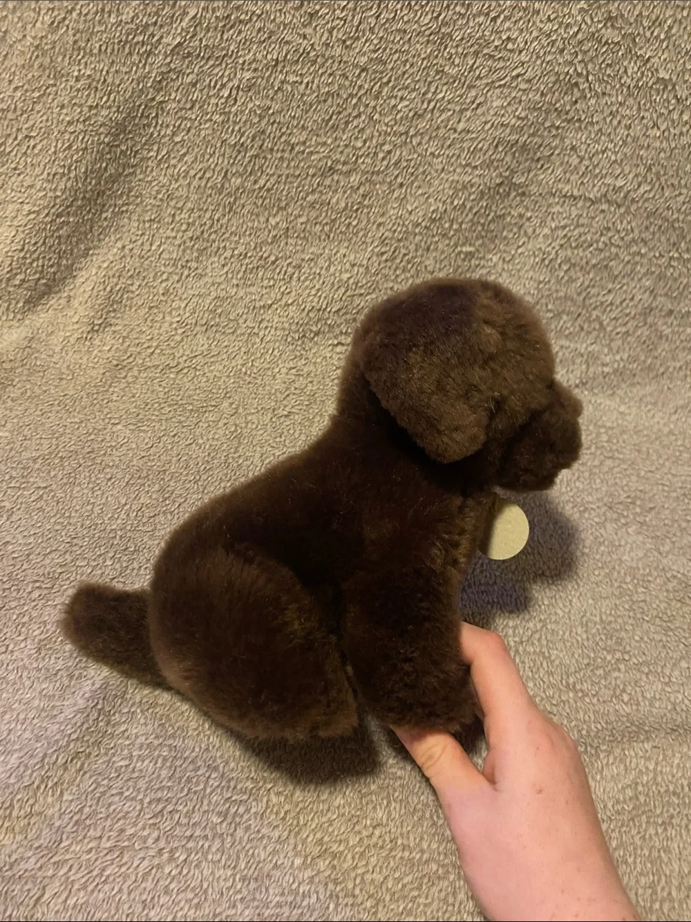 Plush Brown Puppy Stuffed Animal with Gold Tag